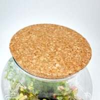 Glass terrarium with cork lid featuring dried flowers and greenery display.