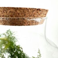 Glass terrarium with lush greenery and cork lid on white background.