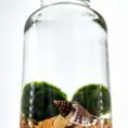 Glass terrarium with pebbles, snail shell, and green moss creating a serene aquatic ecosystem.