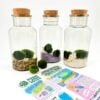 Marimo moss balls in glass bottles with pebbles, for home decor and aquarium use.
