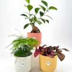 Elho Vibes Fold Round Mini Pot 8.5cm