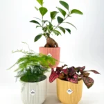 Elho Vibes Fold Round Mini Pot 8.5cm