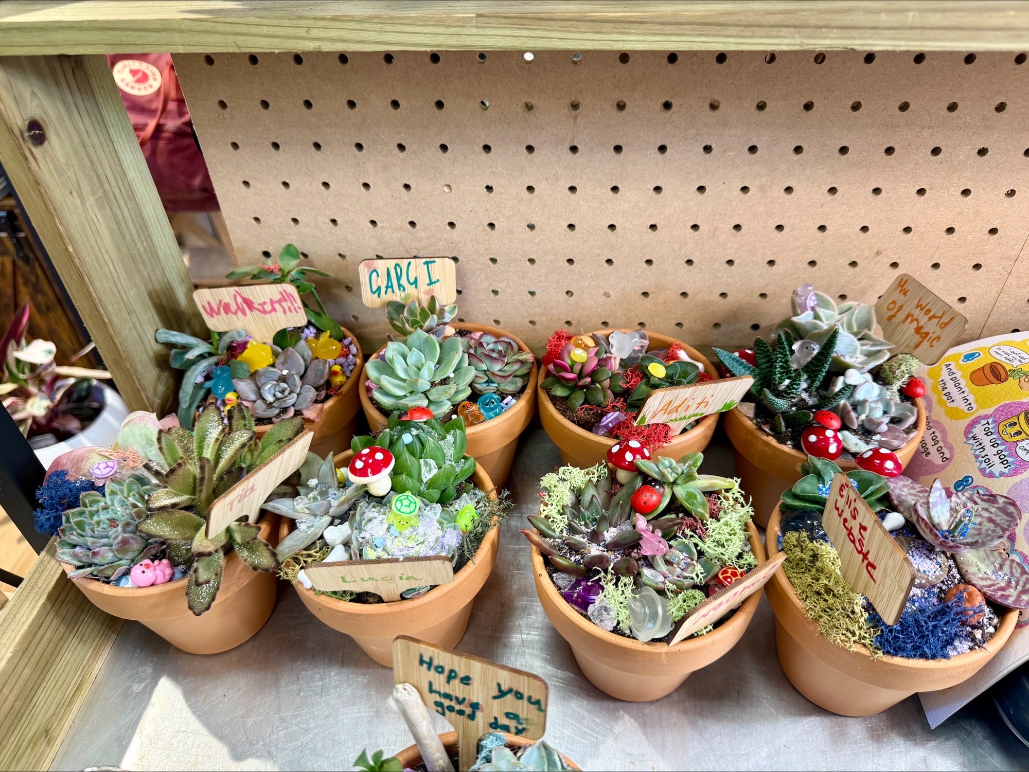 Artful arrangement of colourful succulents in terracotta pots with whimsical labels and decorations.