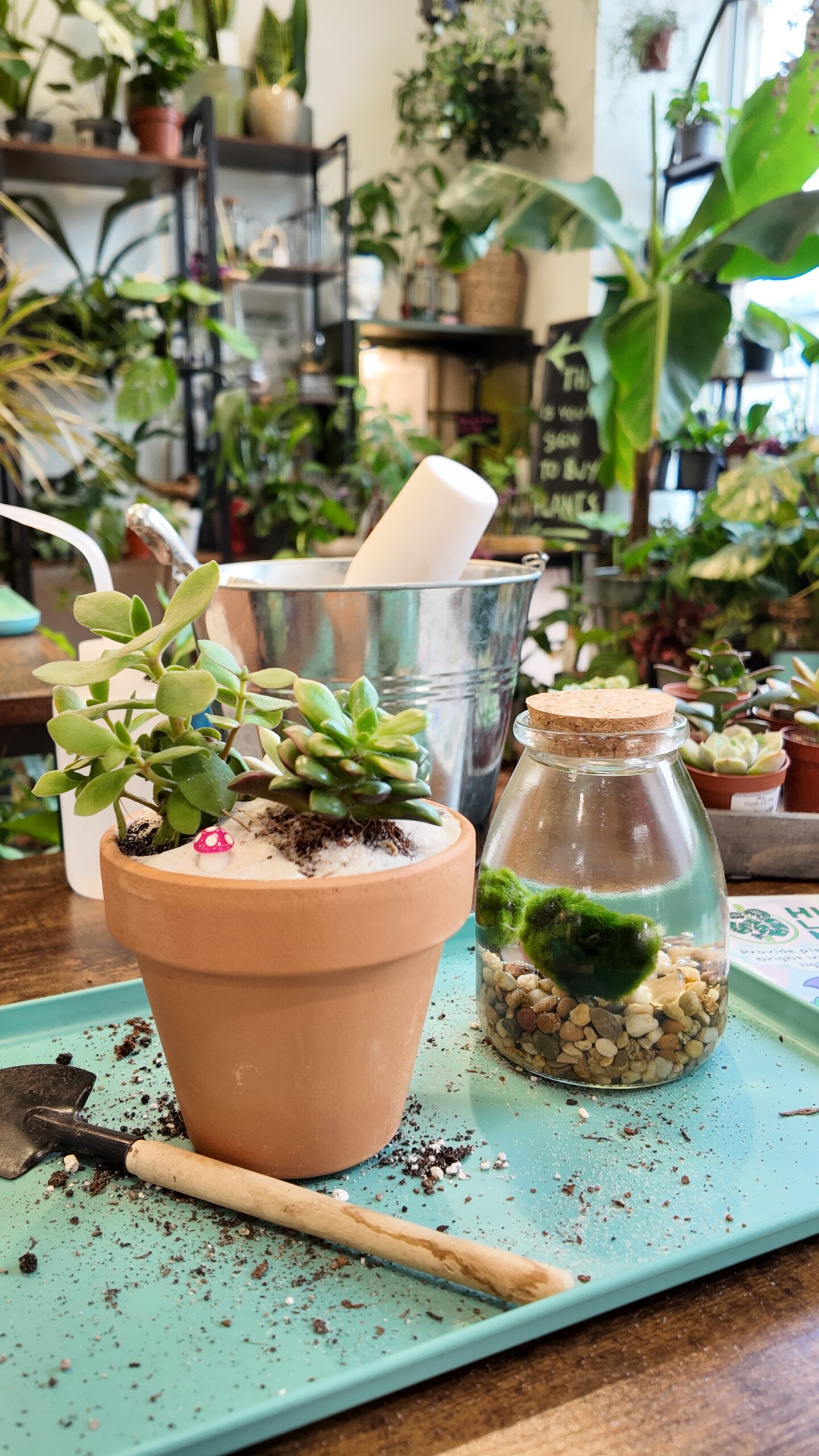 Fun Kids Plant Workshops in Aberdeen – Indoor Gardening Activities at Highland Moss