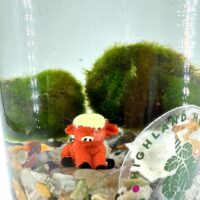 Underwater scene with moss balls, colourful pebbles, and playful orange cow figurine.