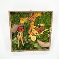 Preserved moss botanical shadow box with driftwood and dried flowers, autumnal woodland wall art.