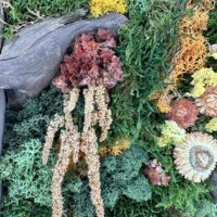 Colourful textured botanical wall art with preserved moss, lichen, driftwood and dried flowers.