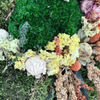 Macro close-up of moss and dried flower arrangement, botanical wreath textures, autumnal seed heads.