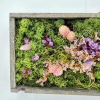 Rustic wooden tray of lush moss and pastel dried flowers, overhead botanical flat lay.
