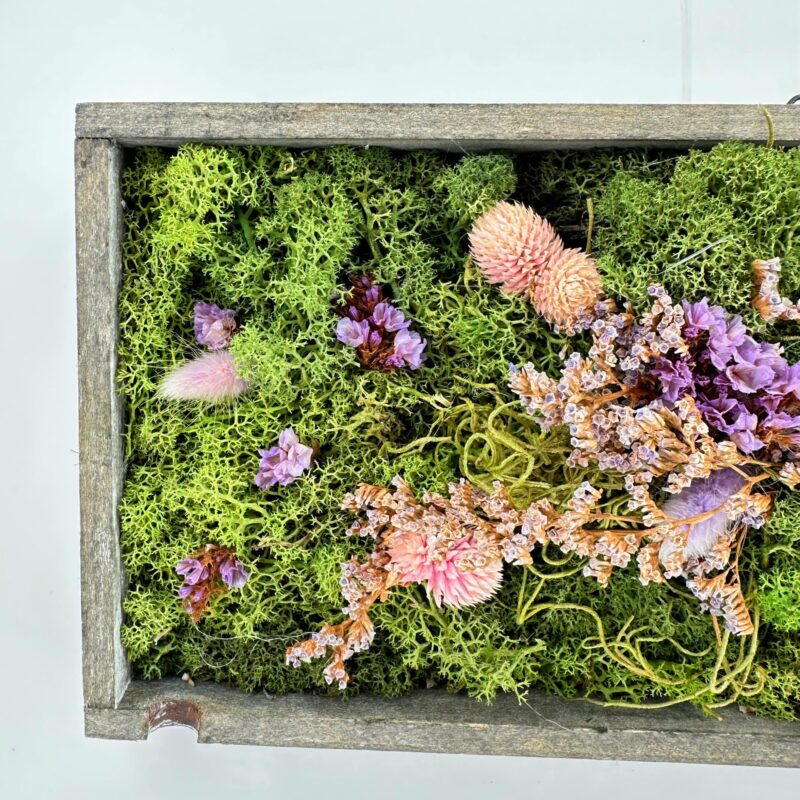 Moss and Pastel Dried Flowers in Rustic Wooden Tray Rustic wooden tray of lush moss and pastel dried flowers, overhead botanical flat lay.