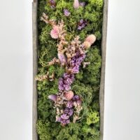 Preserved moss wall art in grey shadow box with lavender dried flowers, vertical botanical decor.