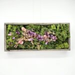 Handmade Preserved Moss Wall Art Scottish Fields