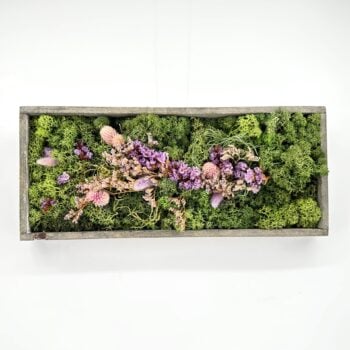 Top-down rustic moss wall art in wooden frame with dried pink and purple flowers.