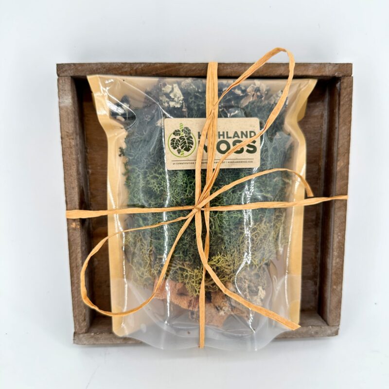Highland Moss Gift Set in Rustic Wooden Tray Highland Moss gift tray with raffia-tied botanical bundle in rustic, eco-friendly wooden packaging, home décor.