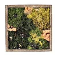Rustic wooden shadow box moss art with preserved lichens, reindeer moss, woodland decor.