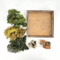 Flat lay of moss, lichen, cork bark and wooden shadow box for terrarium crafting.