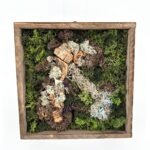 Handmade Preserved Moss Wall Art Lochnagar