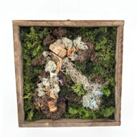 Handcrafted rustic moss shadow box wall art with axe silhouette, lichen and bark.