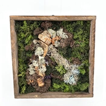 Handcrafted rustic moss shadow box wall art with axe silhouette, lichen and bark.