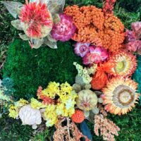 Preserved dried flower arrangement on moss, strawflowers, yarrow, seed heads, autumn colours.