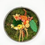 Handmade Preserved Moss Wall Art Flower Fairy Circle