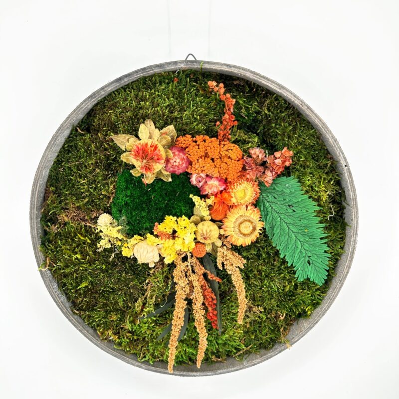 Round preserved moss wall art with dried flowers in metal frame, autumn botanical decor.