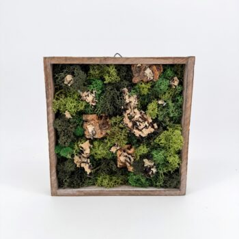 Moss Art DIY Kit SCOTTISH FOREST