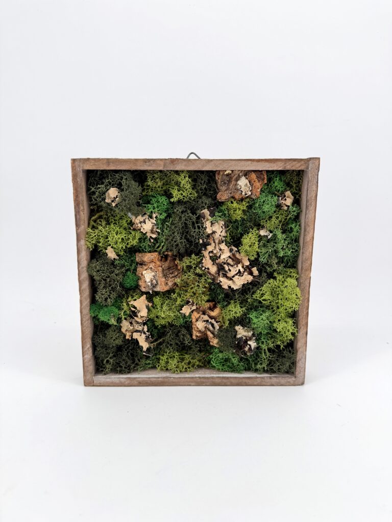 Moss Art DIY Kit SCOTTISH FOREST