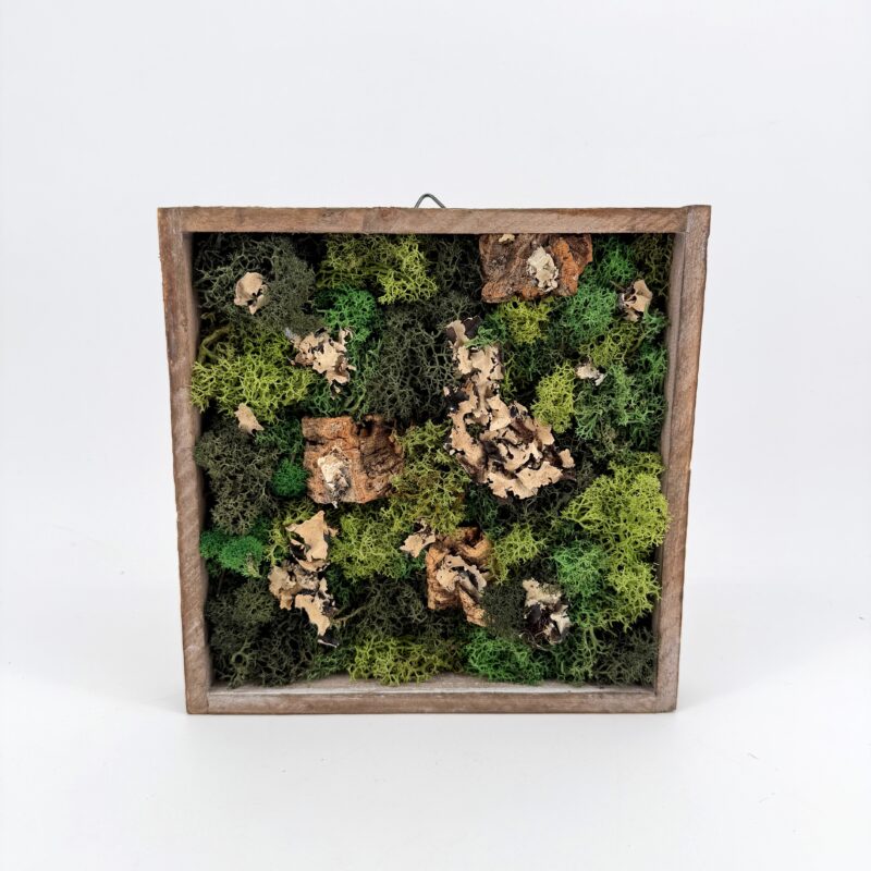 Moss Art DIY Kit SCOTTISH FOREST