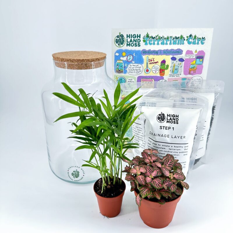 Classic Terrarium Starter Kit DIY Classic Terrarium Starter Kit DIY