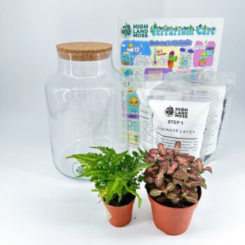 Terrarium Kits