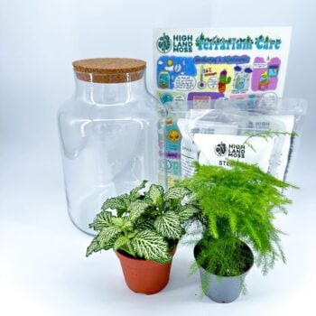 Classic Terrarium Starter Kit DIY