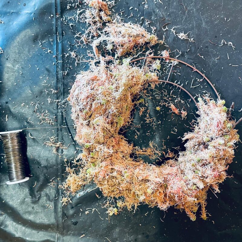 dried-wreath-craft-workshop dried-wreath-craft-workshop