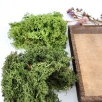 Moss Art DIY Kit Heather Field – frame, preserved moss, dried lavender-pink flowers, and natural decorations.