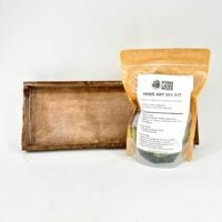 Lochnagar Moss Art DIY Kit with preserved moss, cork, and Tillandsia packaged in bag
