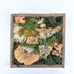 Moss Art DIY Kit SILVER BRICH