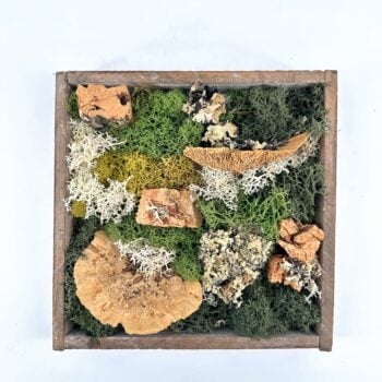 Moss Art DIY Kit SILVER BRICH