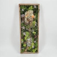 Handmade Preserved Moss Wall Art Lochnagar DIY Kit finished design with moss, cork, and preserved Tillandsia