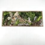 Preserved Moss Wall Art DIY Kit LOCHNAGAR