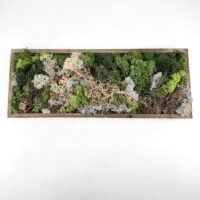 Handmade Preserved Moss Wall Art Lochnagar DIY Kit finished design with moss, cork, and preserved Tillandsia