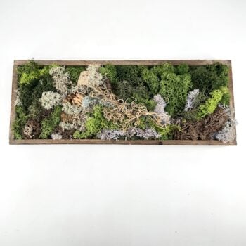 Handmade Preserved Moss Wall Art Lochnagar DIY Kit finished design with moss, cork, and preserved Tillandsia