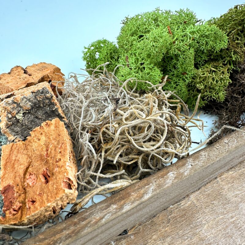 Preserved Moss Wall Art DIY Kit LOCHNAGAR Handmade Preserved Moss Wall Art Lochnagar DIY Kit with all components laid out