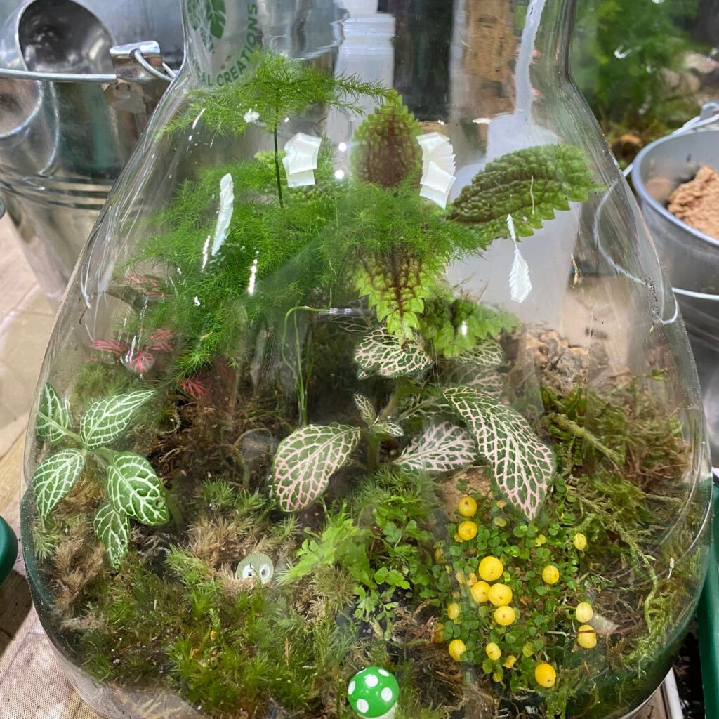 Image #1 from Alison G.