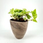 Brown Rustic Terracotta Planter 9cm