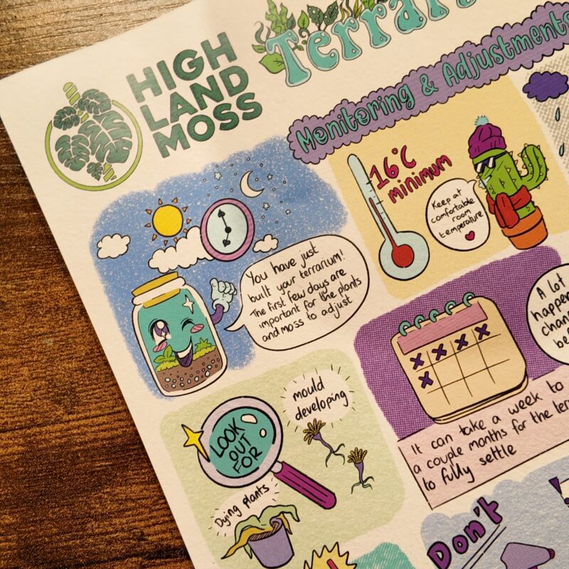 Terrarium care instructions by Highland Moss Terrarium care instructions by Highland Moss