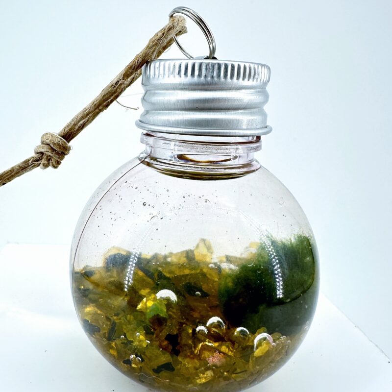 Mini Marimo Moss Ball Bauble Mini Marimo Moss Ball Bauble with golden crush pebbles, handmade eco-glass ornament featuring real Marimo moss and warm golden decorative stones.