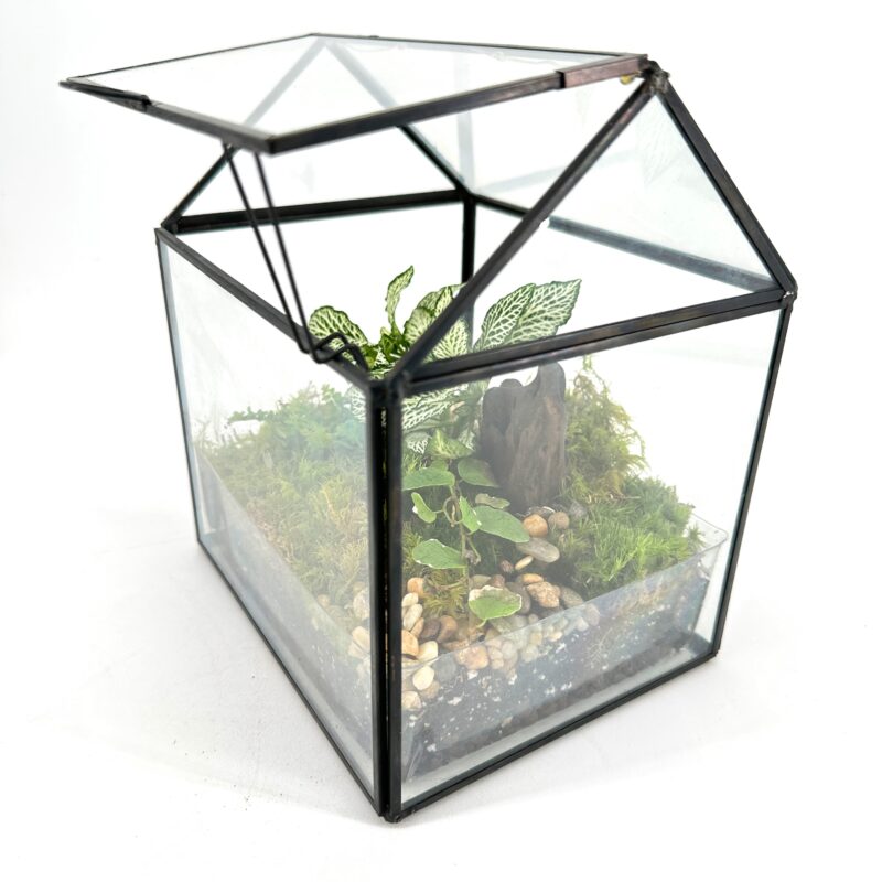 Terrarium Greenhouse with LED Light Terrarium Greenhouse with LED Light