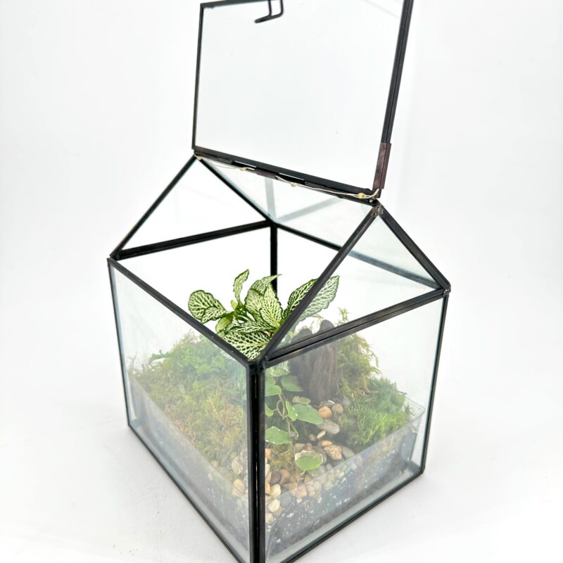 Terrarium Greenhouse with LED Light Terrarium Greenhouse with LED Light