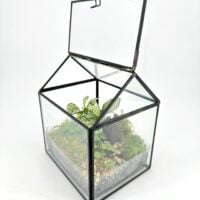 Terrarium Greenhouse with LED Light