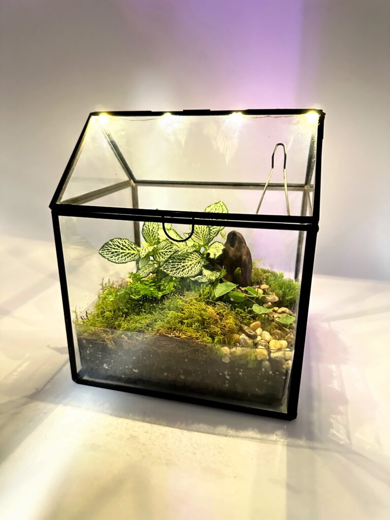 Terrarium Greenhouse with LED Light